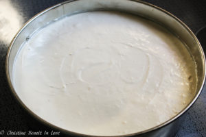 vanilla cheesecake recipe 10