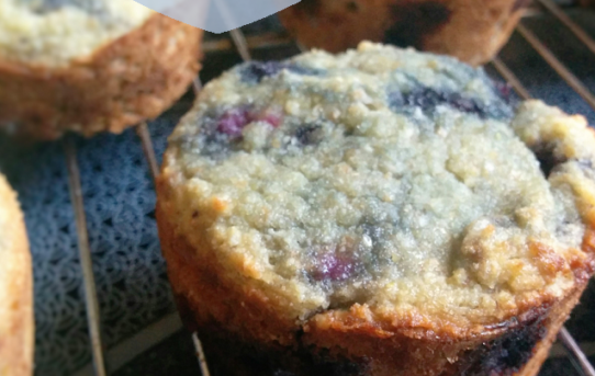 Blueberry or ANYberry Muffins (THM S)